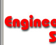 Engineering Services have expereince in the Food and Petro/chemical industries both at home and abroad.